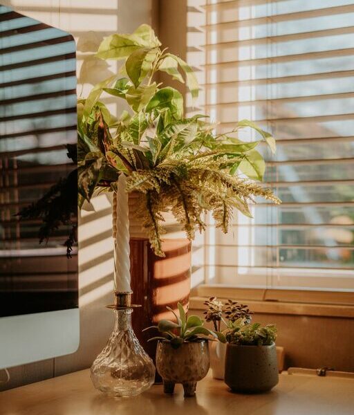 Tips for Creating a Cozy and Inviting Home Office Space